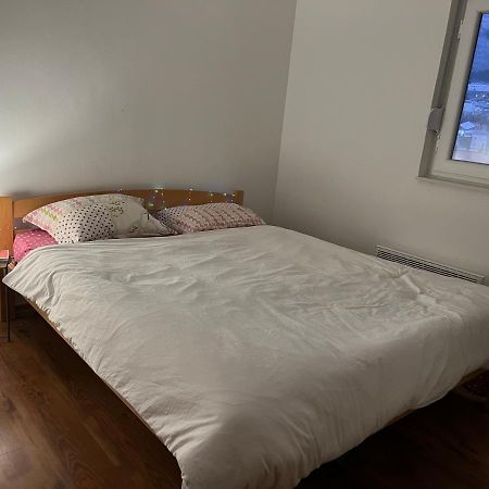 Old Bridge Apartment 莫斯塔尔 外观 照片